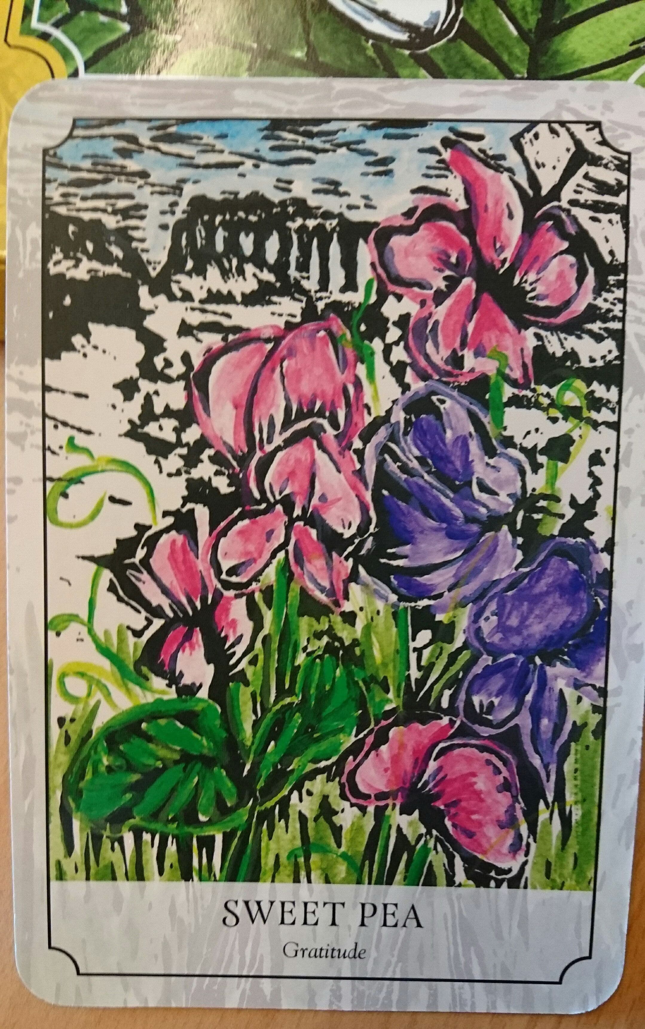 SWEET PEA 香碗豆