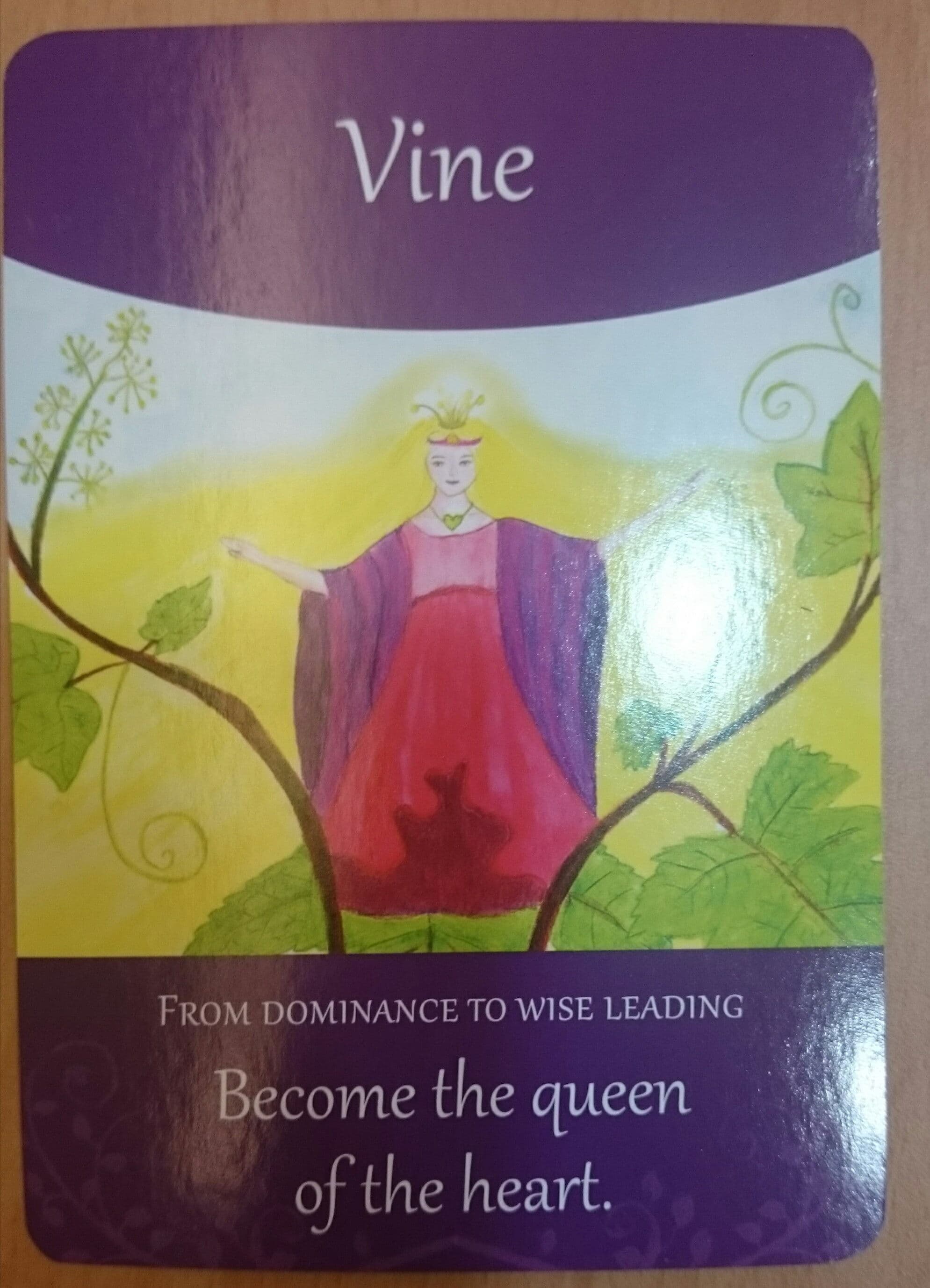 巴哈花精 :Vine 葡萄藤