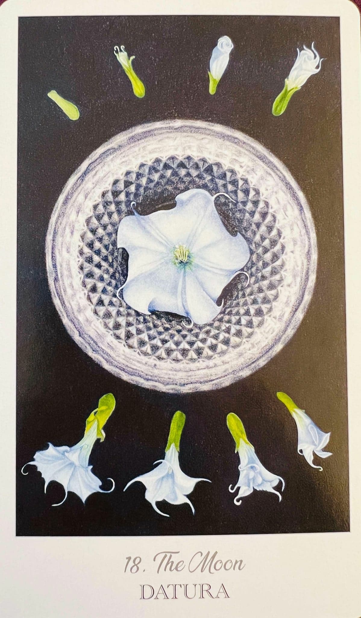 月亮曼陀羅