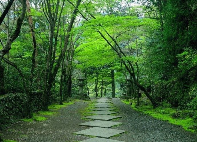 SSR古埃及靈氣遠距療癒公益體驗會~了解自己的內在