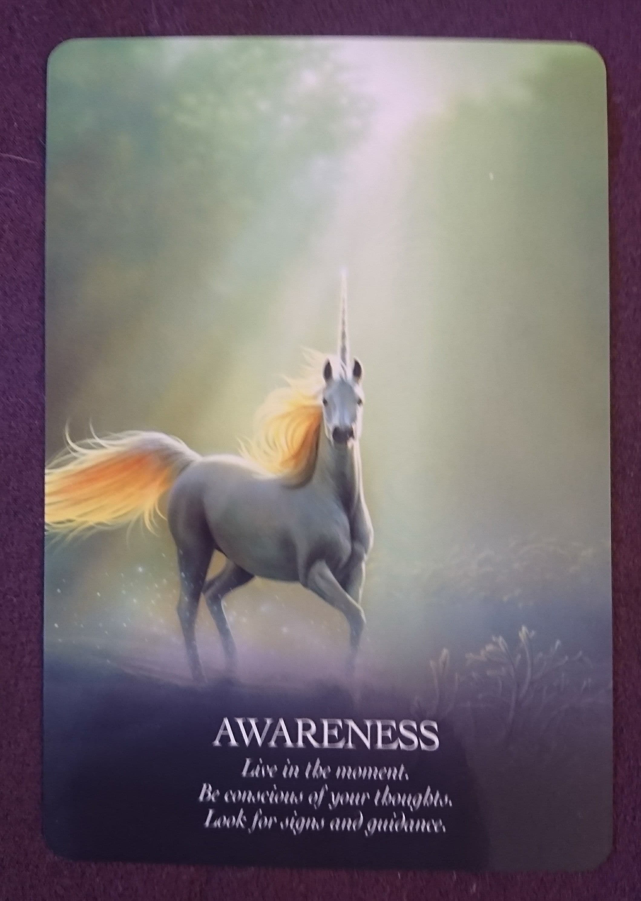 靜心 – 意識 覺察 Awareness