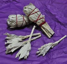 常用淨化產品介紹