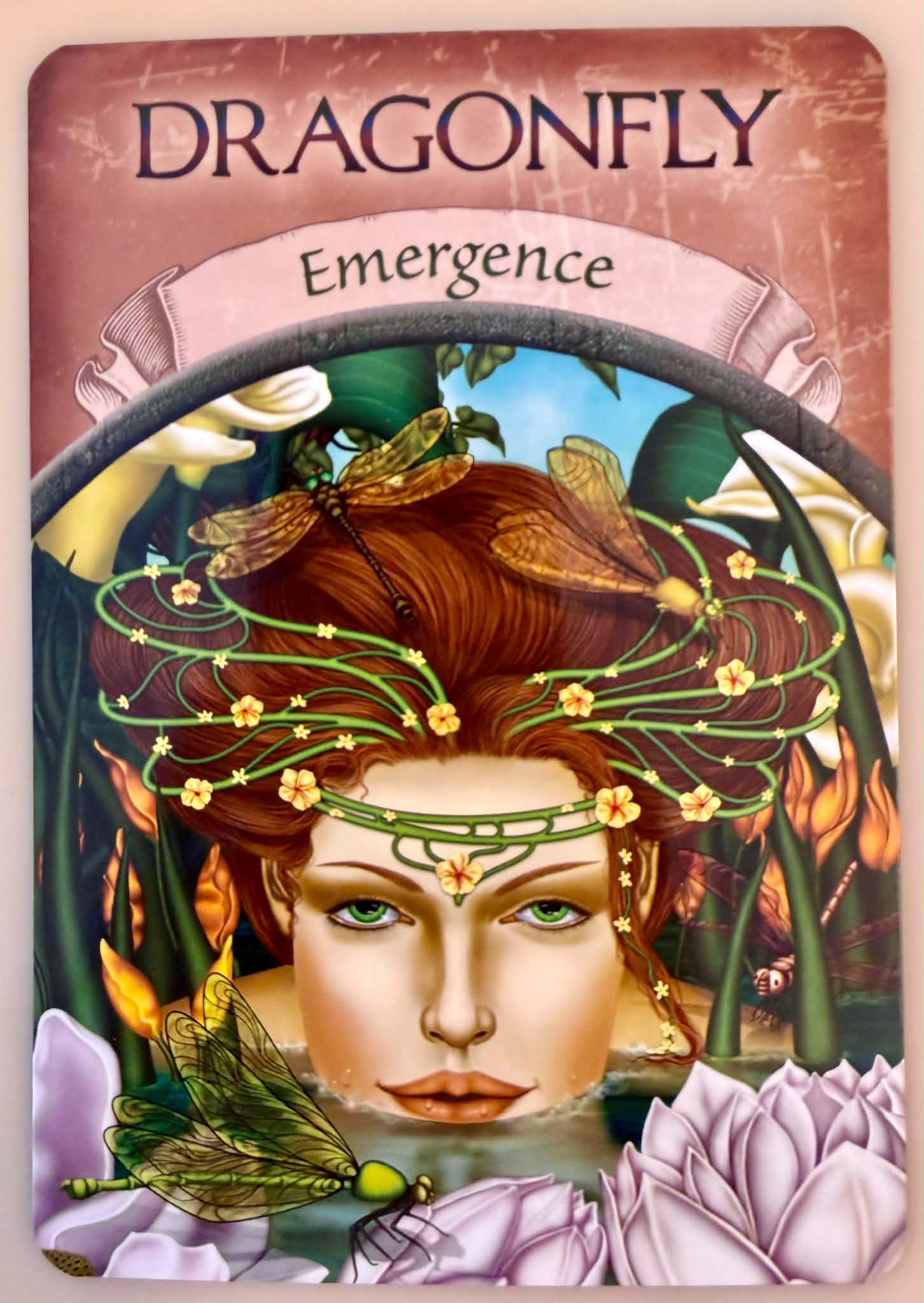 蜻蜓/蛻變(Emergence)