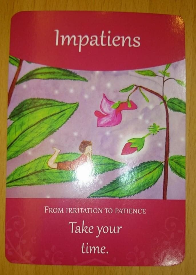巴哈花精-鳳仙花 Impatiens