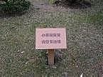 言教 ? 身教 ?