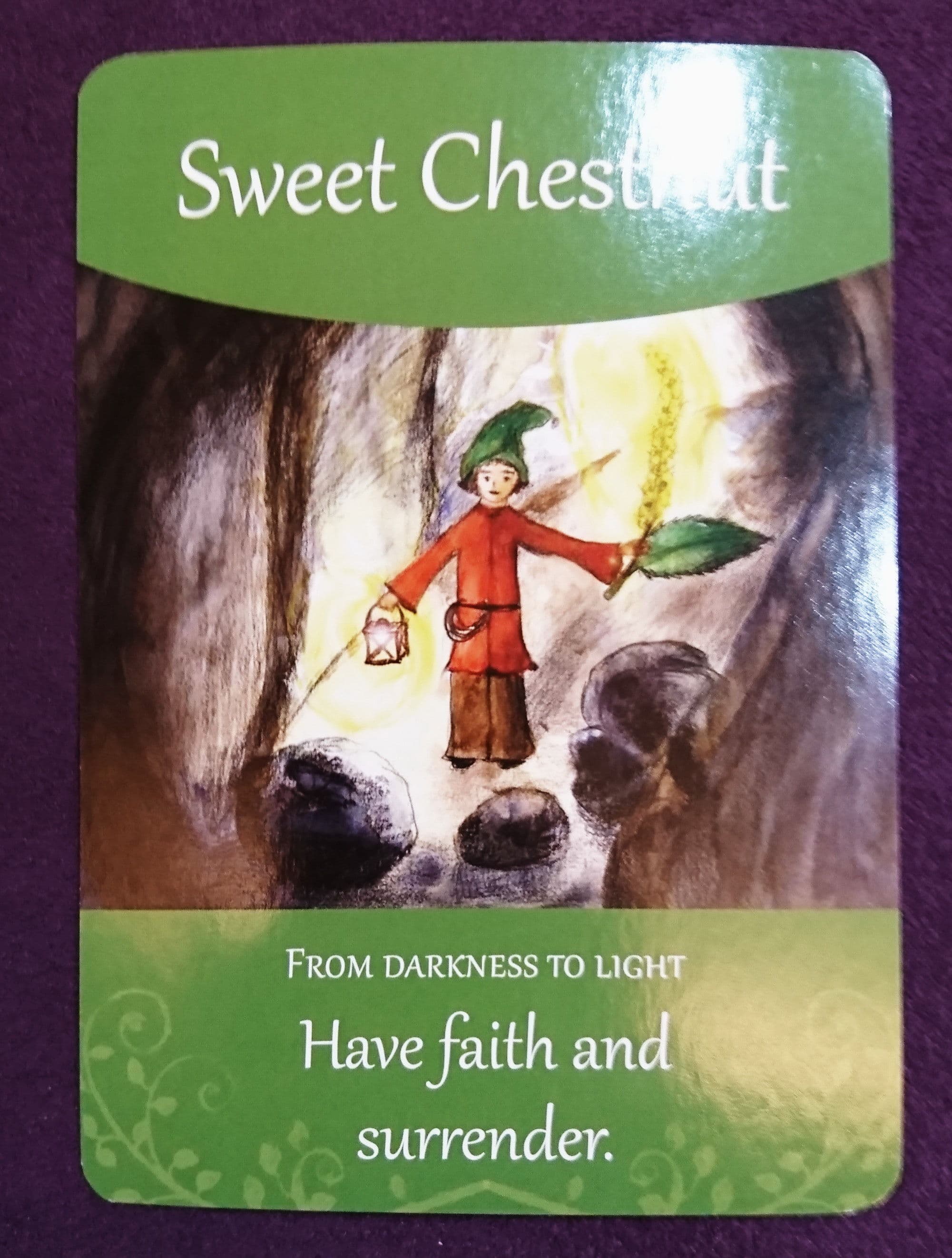 巴哈花藥卡 - 甜栗花 Sweet Chestnut