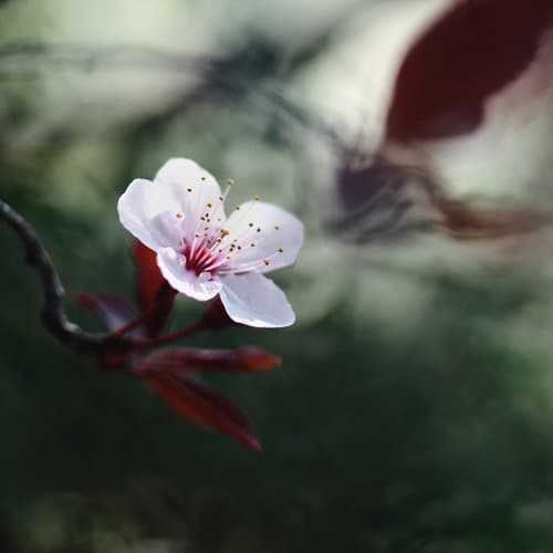 分享文章-醒過來/放下