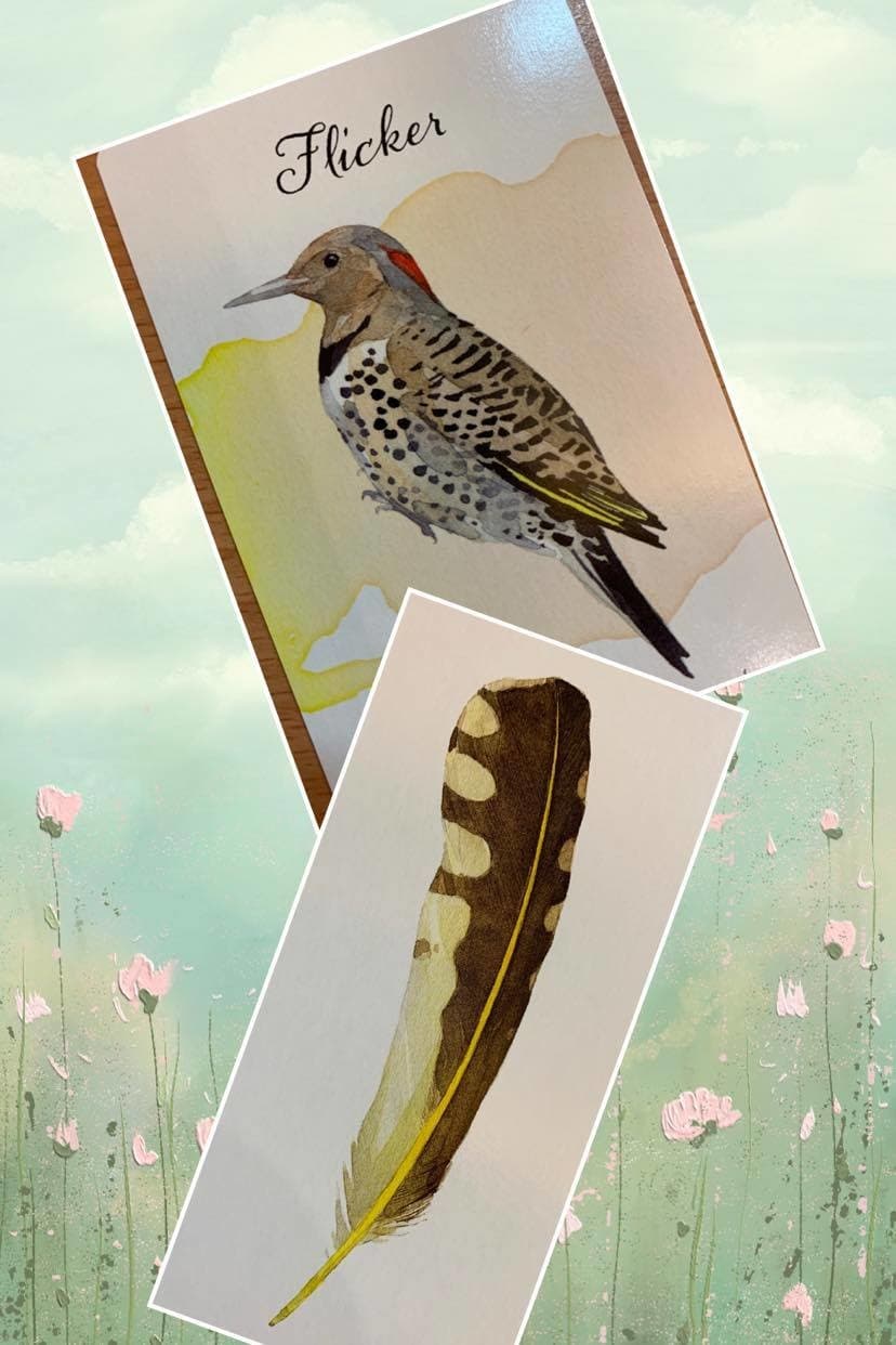 羽毛訊息: Flicker