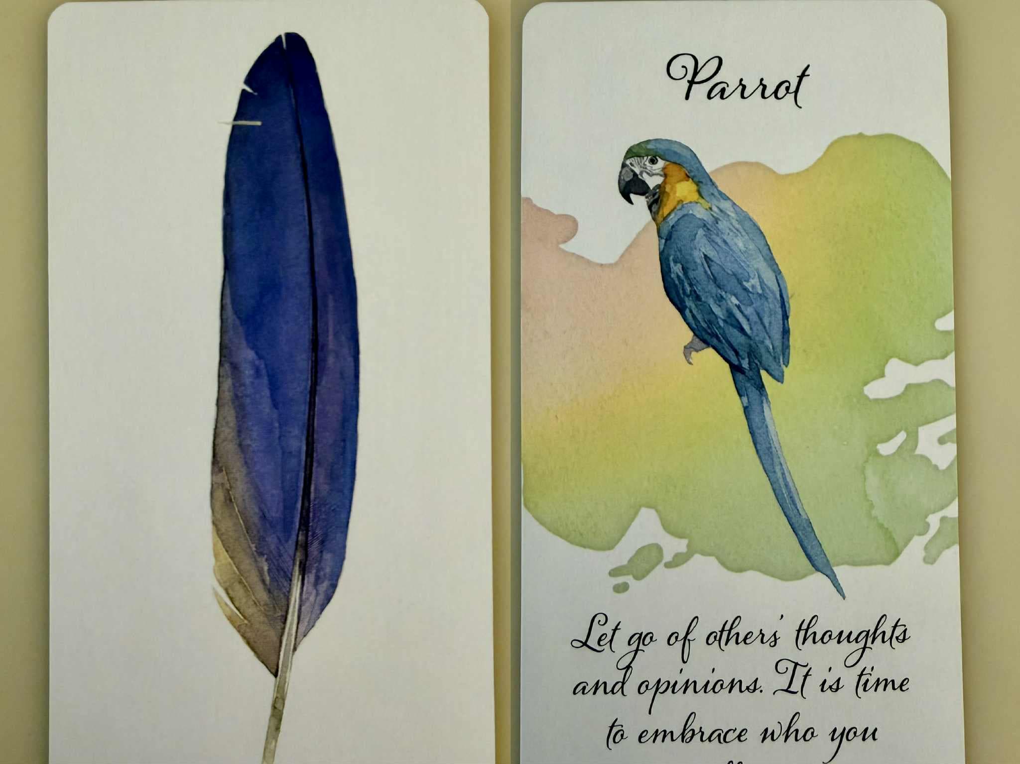 羽毛訊息-鸚鵡(Parrot)